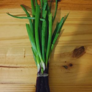 Organic Spring Onions (red) from the Garden Route